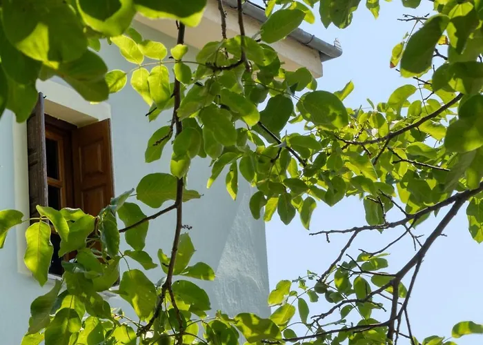 Maria's House Case de vacanță